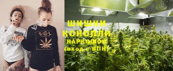 PSILOCYBIN Арсеньев